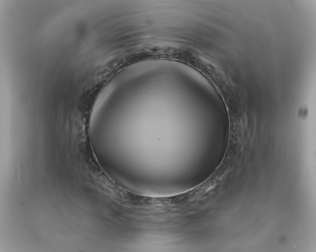X0000091591013200709051117