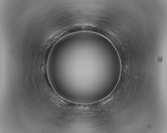 X0000091591014200709051117