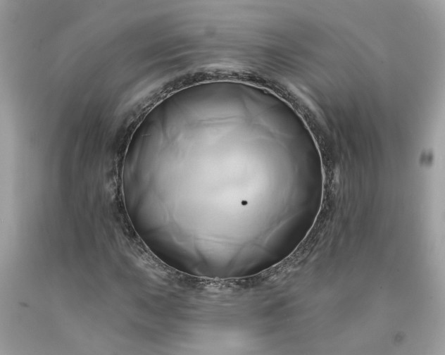 X0000091591015200709051117