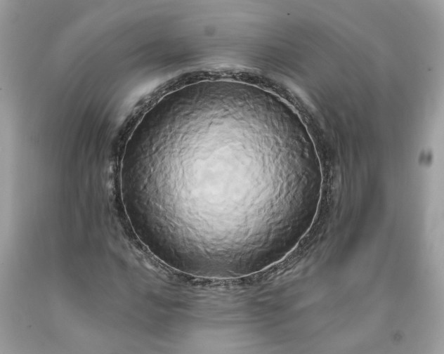 X0000091591016200709051117