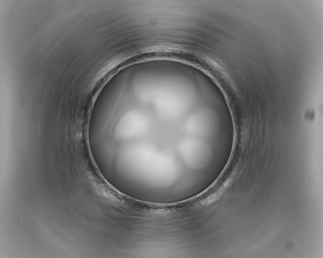 X0000091591017200709051117