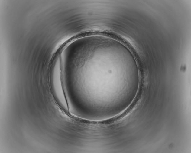 X0000091591018200709051117