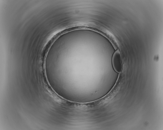 X0000091591019200709051117