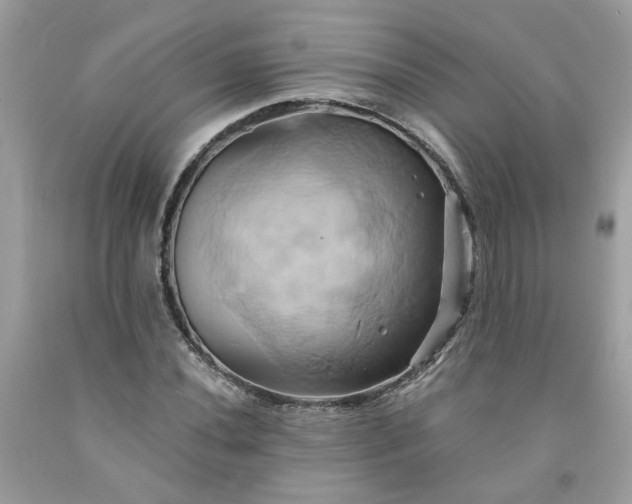 X0000091591020200709051117