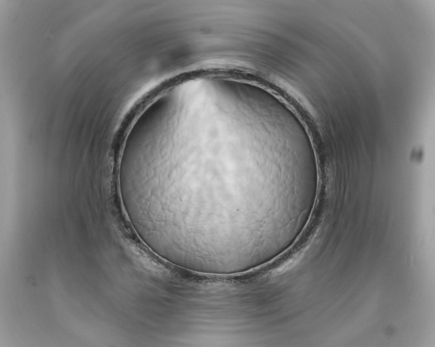 X0000091591021200709051117