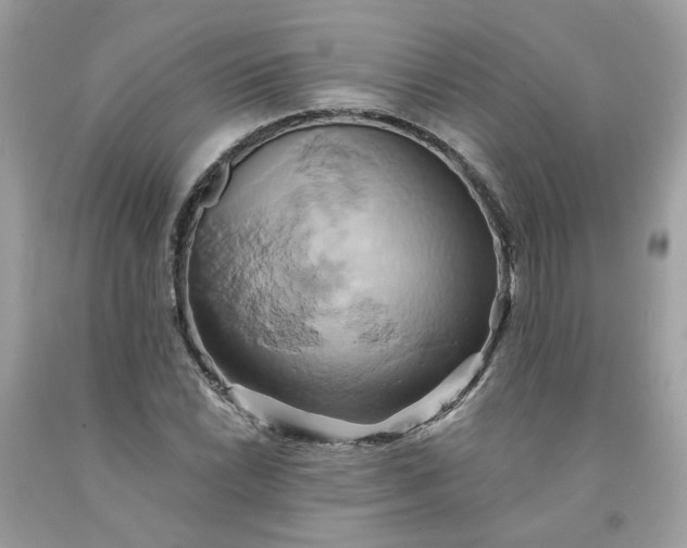X0000091591022200709051117