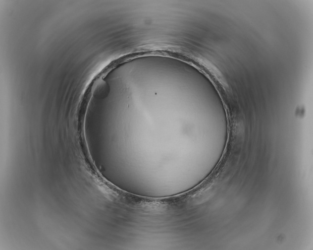 X0000091591023200709051117