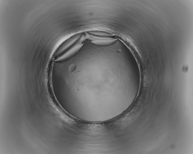 X0000091591024200709051117