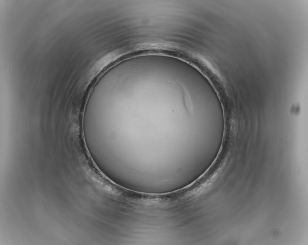 X0000091591025200709051117