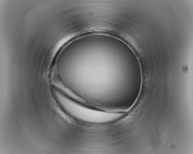 X0000091591026200709051117