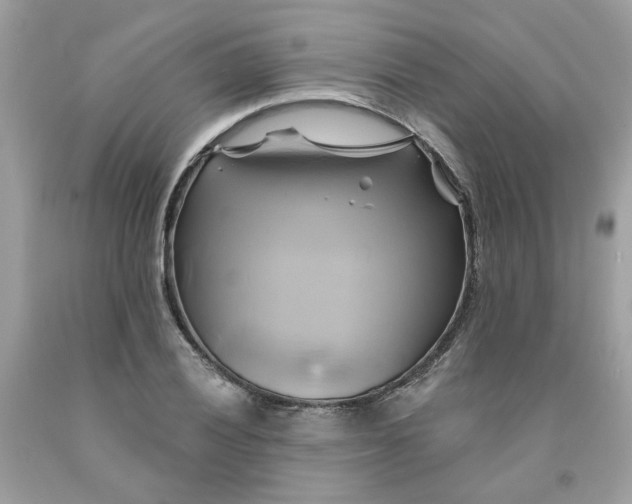 X0000091591028200709051117