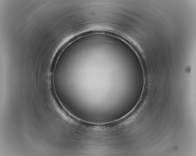 X0000091591029200709051117