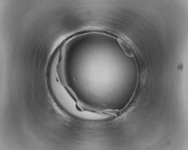 X0000091591030200709051117