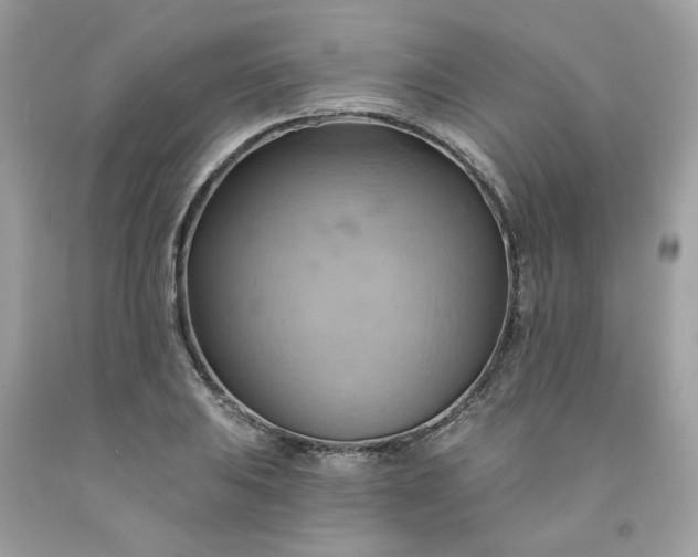 X0000091591031200709051117