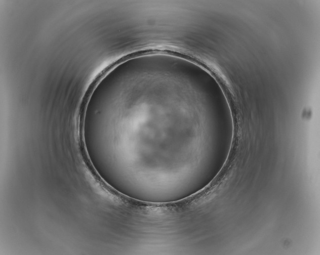 X0000091591032200709051117