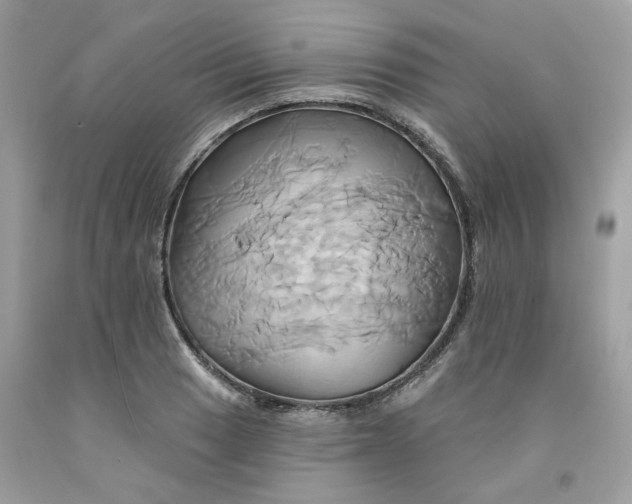 X0000091591033200709051117