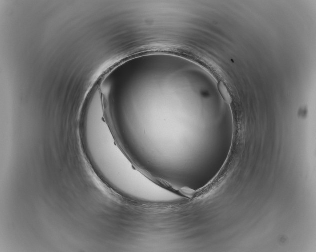 X0000091591034200709051117