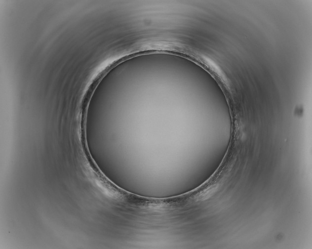 X0000091591035200709051117