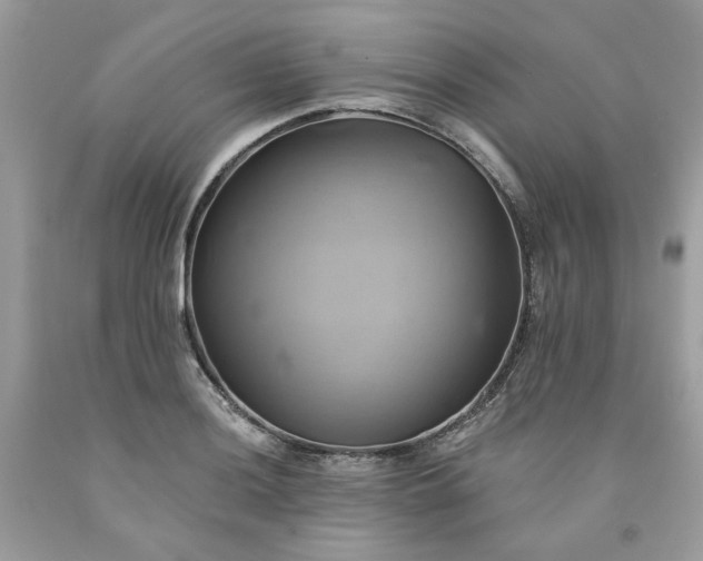 X0000091591036200709051117