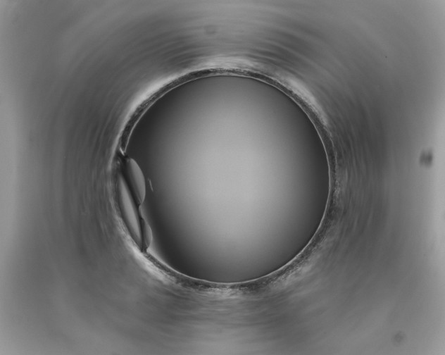 X0000091591037200709051117