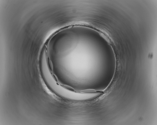 X0000091591038200709051117