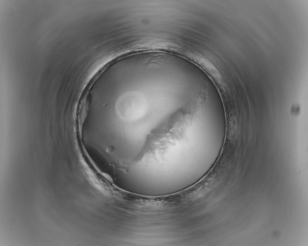 X0000091591039200709051117