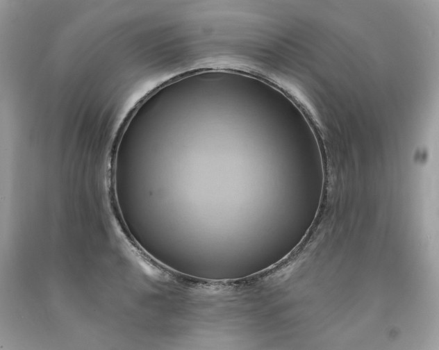 X0000091591040200709051117