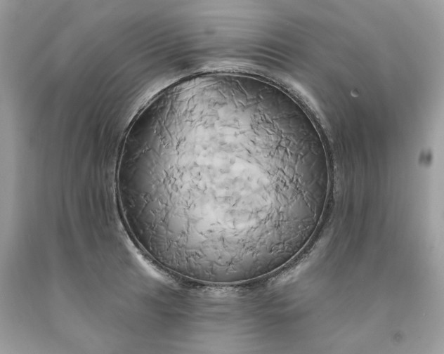 X0000091591041200709051117