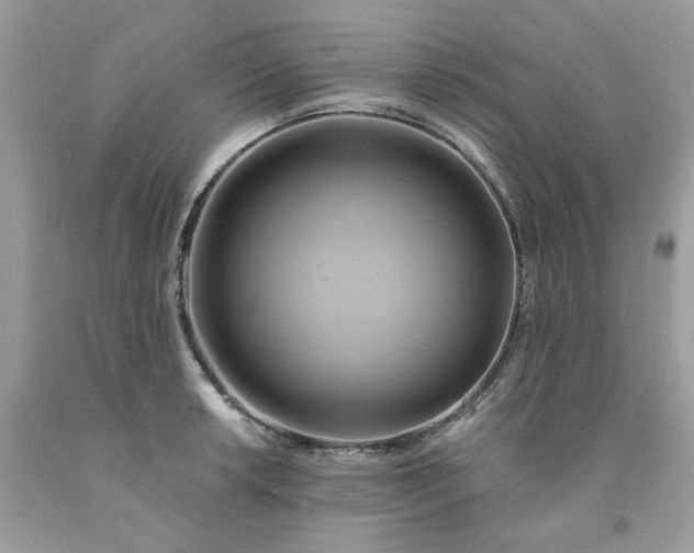 X0000091591042200709051117
