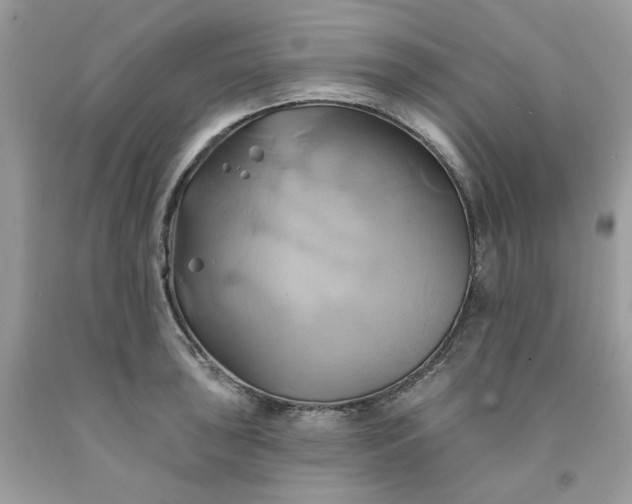 X0000091591043200709051117