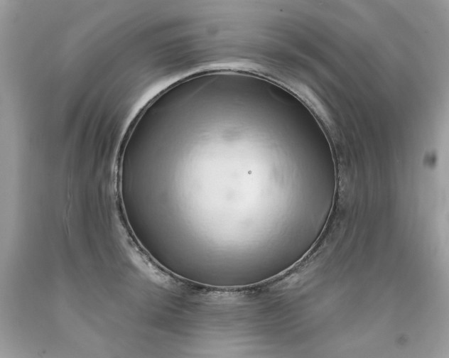 X0000091591044200709051117