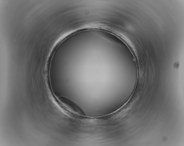 X0000091591045200709051117