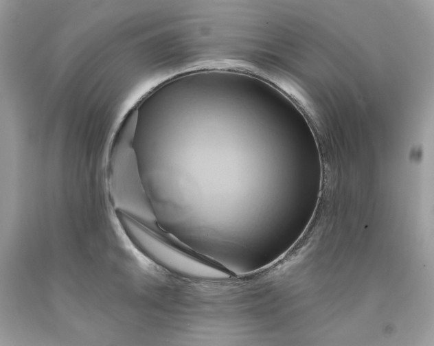 X0000091591046200709051117