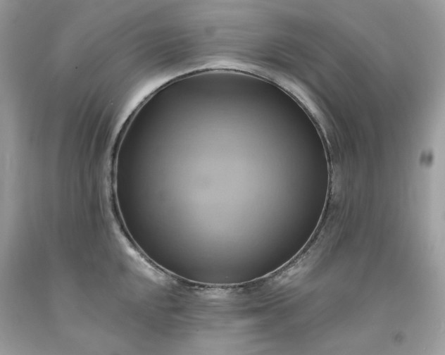 X0000091591048200709051117