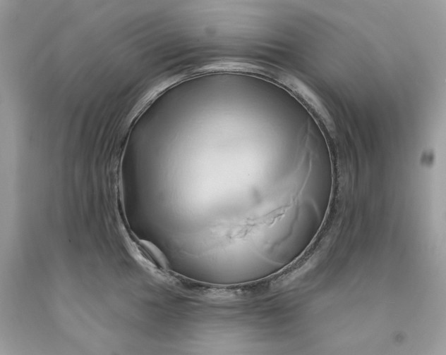 X0000091591049200709051117