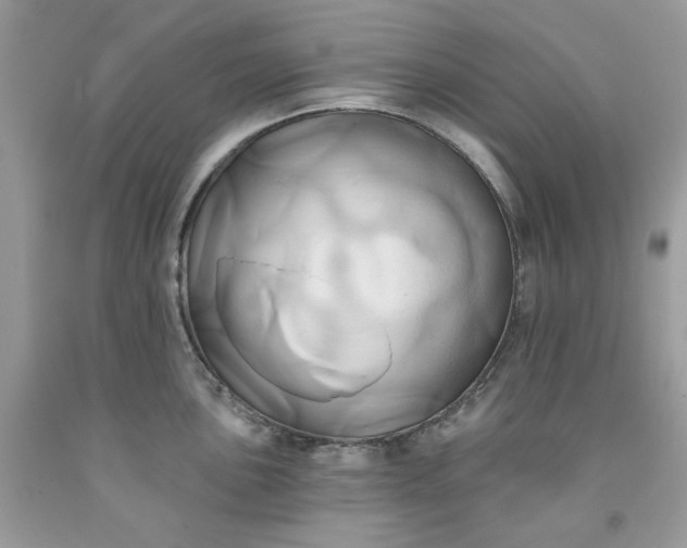 X0000091591051200709051117
