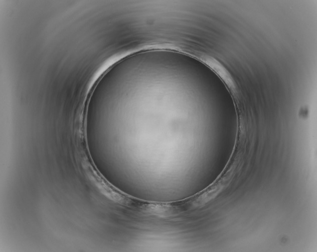 X0000091591052200709051117