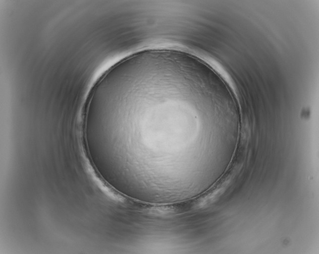 X0000091591053200709051117