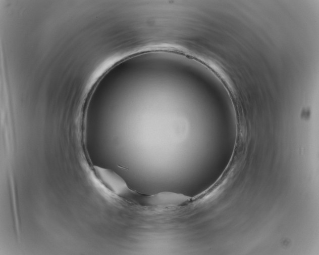 X0000091591054200709051117