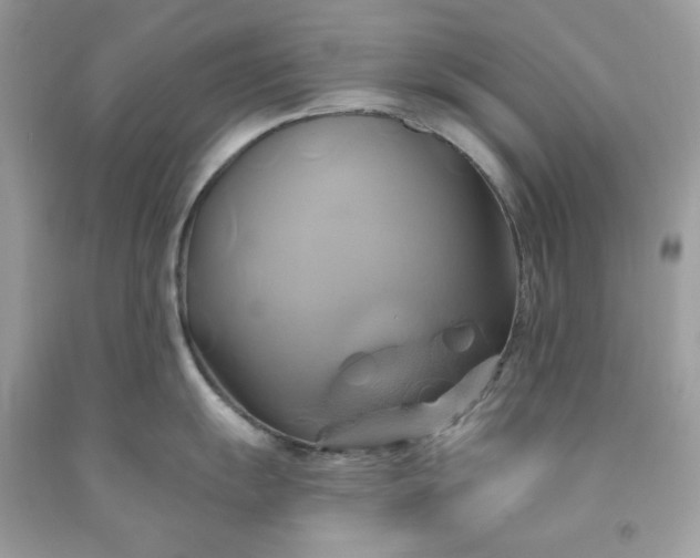 X0000091591055200709051118