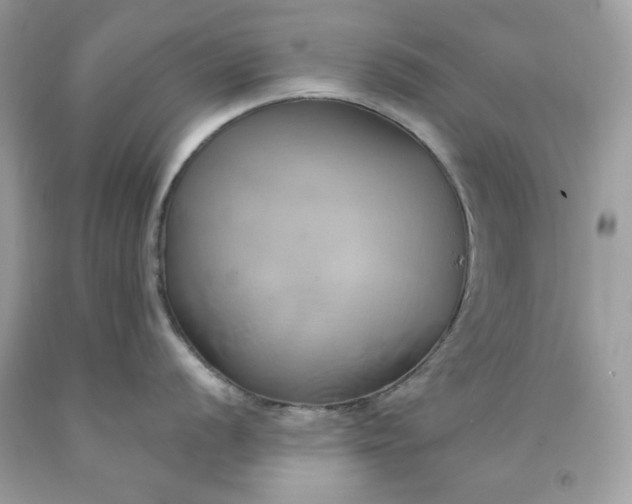 X0000091591056200709051118