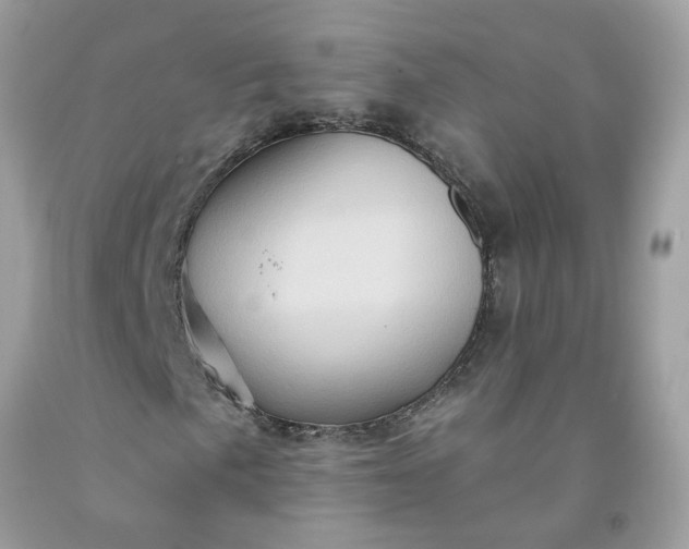 X0000091591057200709051117