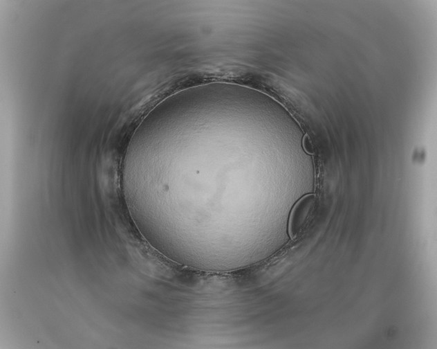 X0000091591058200709051117
