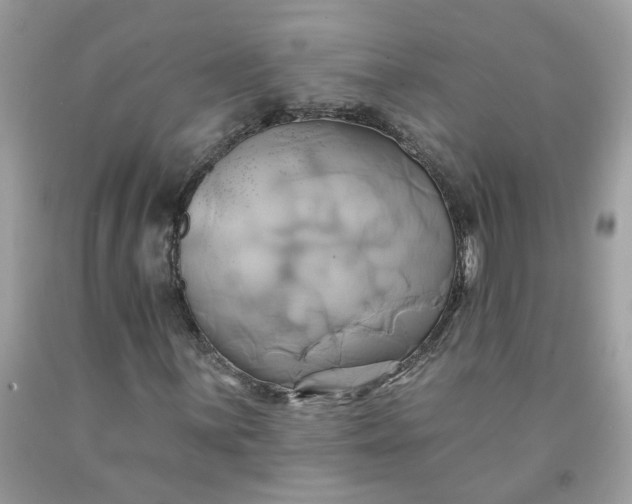 X0000091591059200709051117