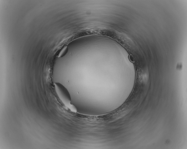 X0000091591060200709051117