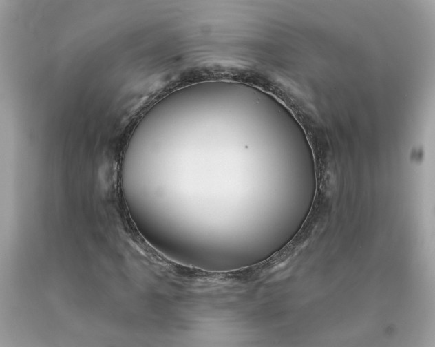 X0000091591061200709051117