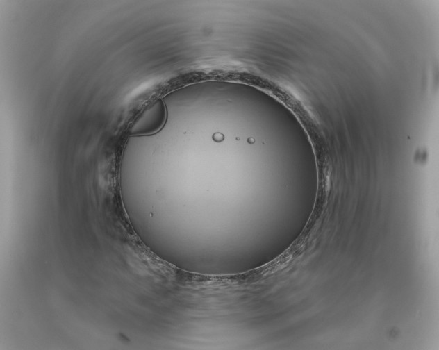 X0000091591063200709051117