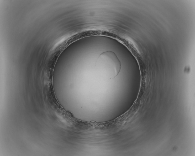 X0000091591064200709051117