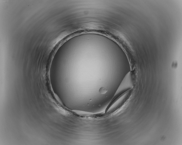 X0000091591065200709051117