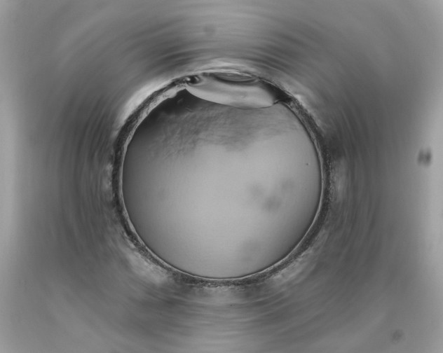 X0000091591066200709051117